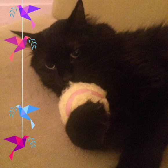 Meet your Posher, Kelly - Picture 1 of 1